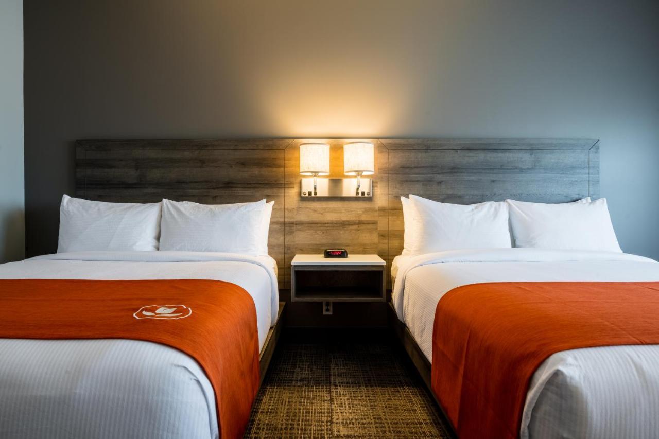 Amsterdam Inn & Suites, Ascend Hotel Collection Florenceville Esterno foto